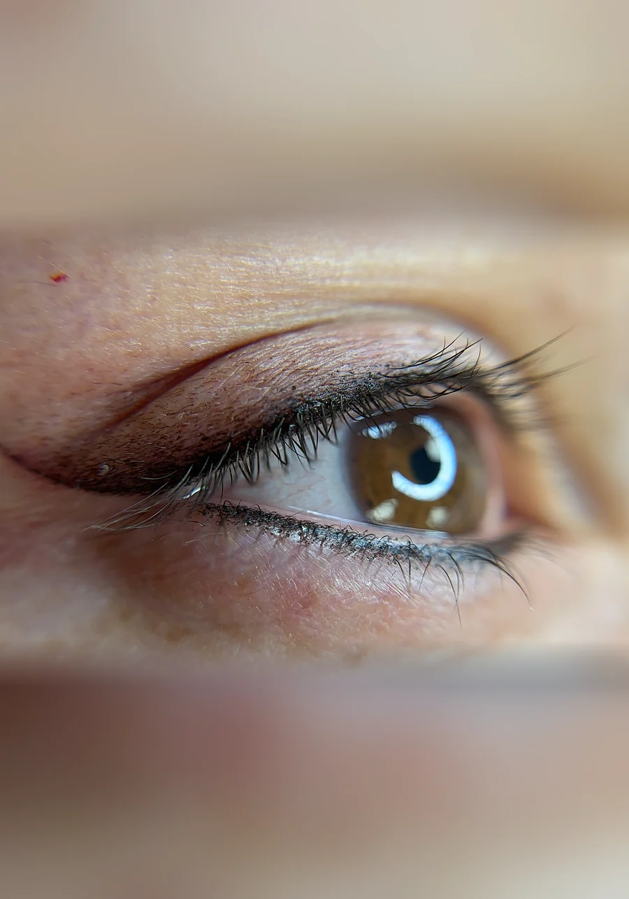 Healed permanent eyeliner with the lower lash line defined, by Adriana's Permanent Makeup