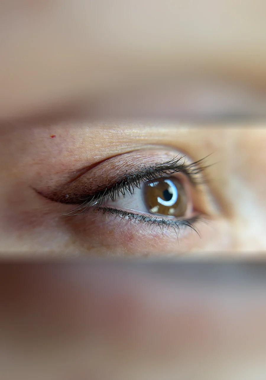 Healed Eyeliner Combo on a client of Adriana's Permanent Makeup