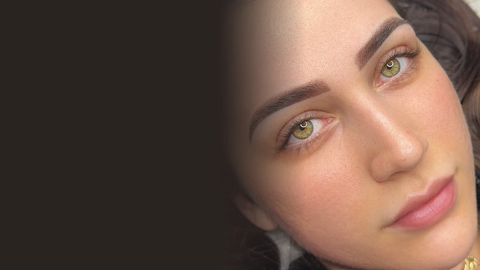Healed Powder Brows on a client, softly shaded from front to tail