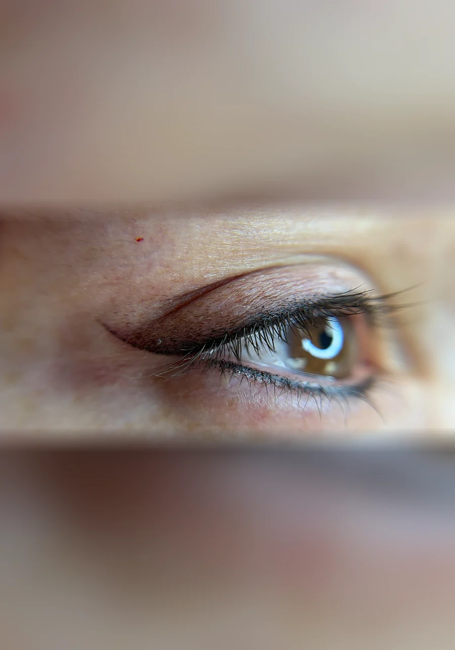Healed Smokey Eyeliner on a client of Adriana's Permanent Makeup