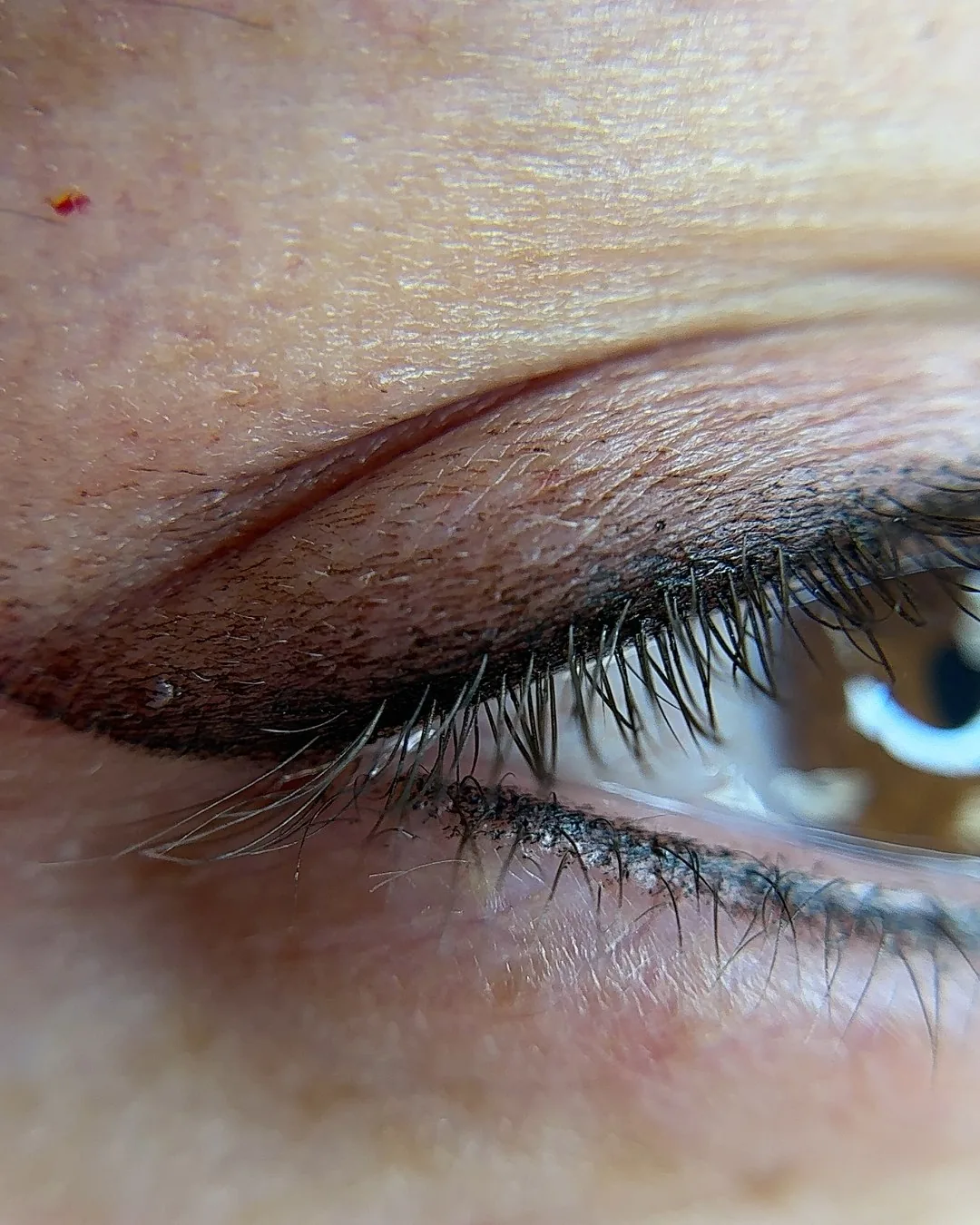 Eyeliner combo healed: both lash lines treated in one session. Healed eyeliner combo on a closed eye, pigment along both the upper and the lower lash line